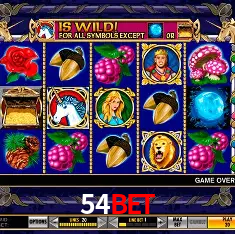 54bet Rio de Janeiro - Bonus Terms